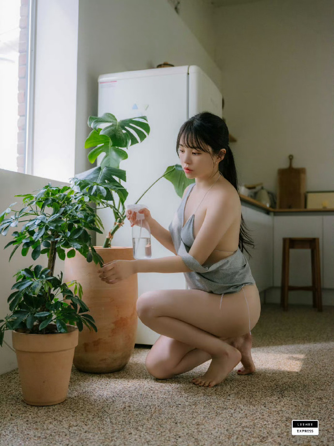 与凤行 封面